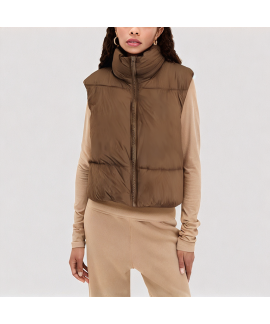 Brown Stand up Collar Down Vest