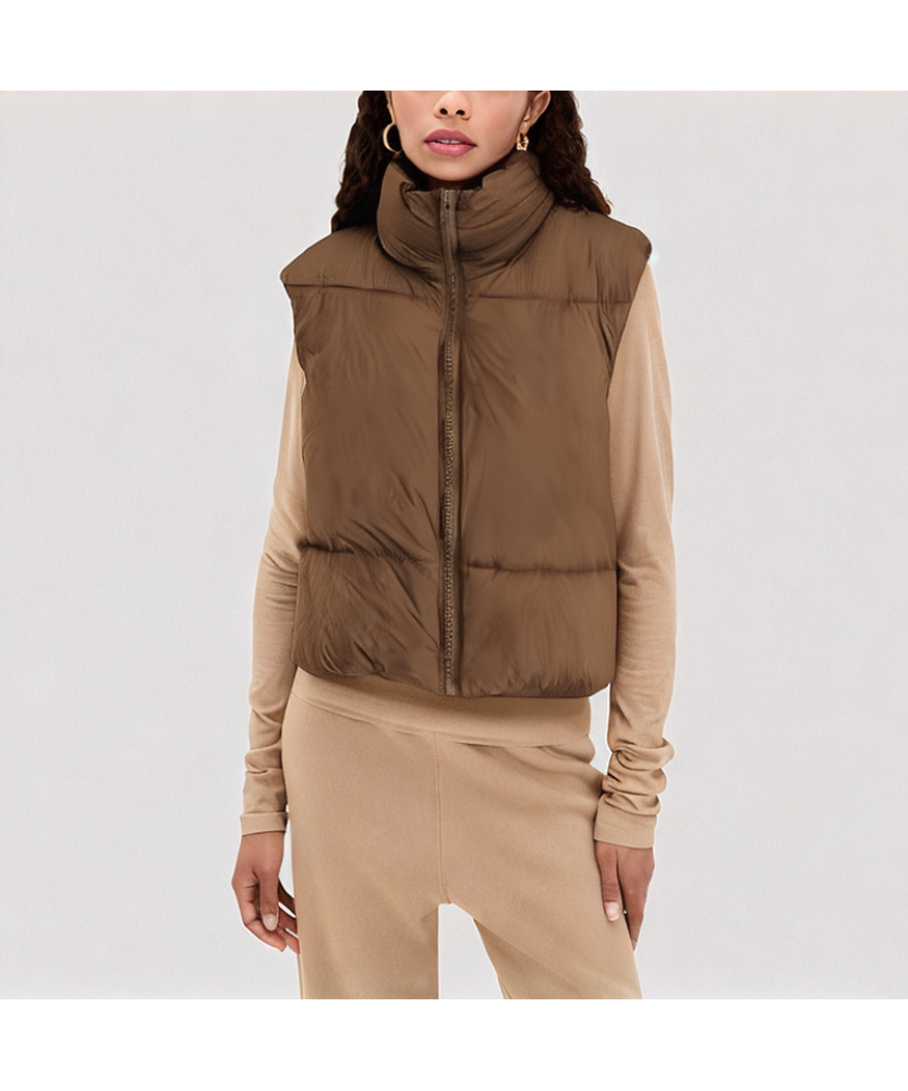 Brown Stand up Collar Down Vest
